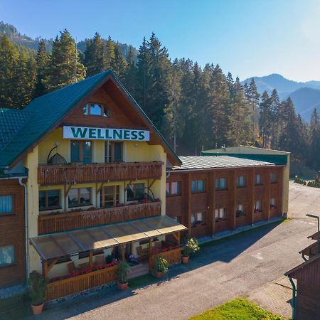 Hotel Bystrina Демяновская долина Экстерьер фото